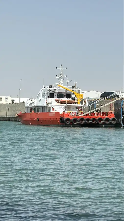 Catamaran for sale