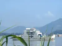 Catamaran for sale
