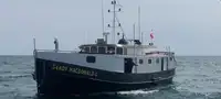 Towboat for sale
