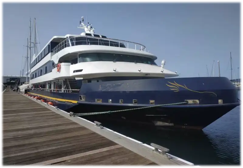 Cruise ship for sale