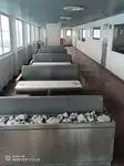RoPax ship for sale