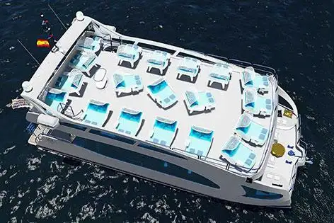 Catamaran for sale