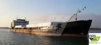 Bulk carrier for sale