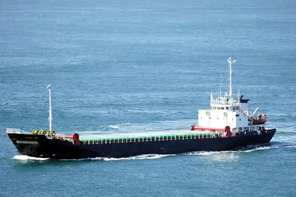 Bulk carrier for sale