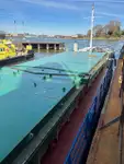 Bulk carrier for sale