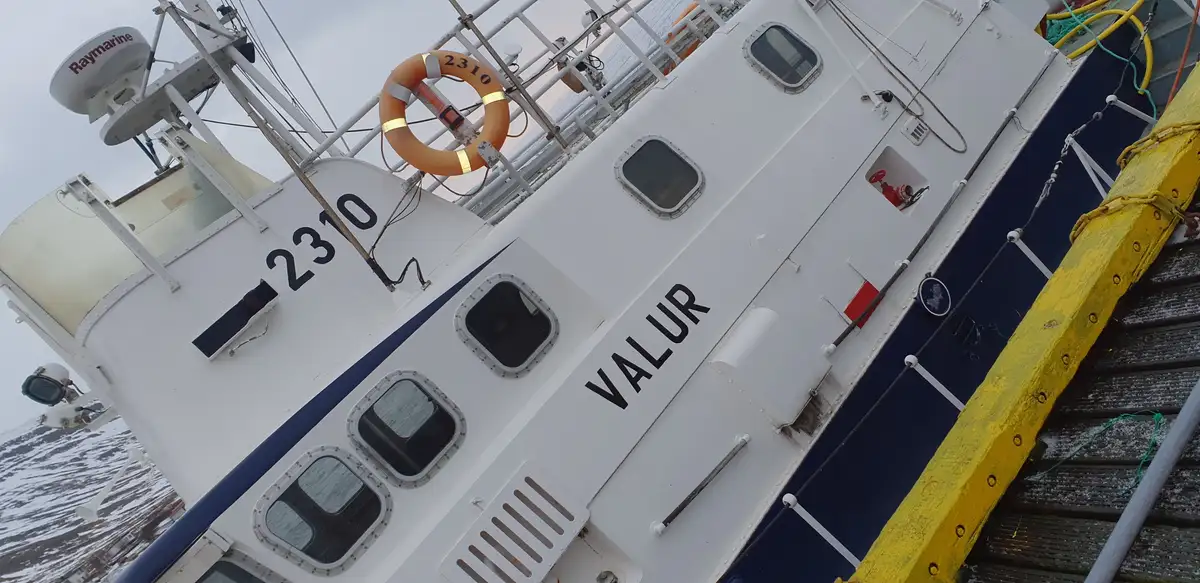 Workboats for sale