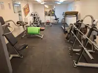 Barge for sale