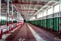 Ro-Ro ship for sale