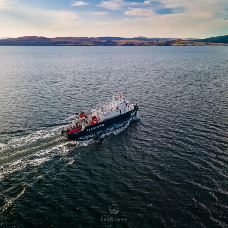 Survey vessel for sale