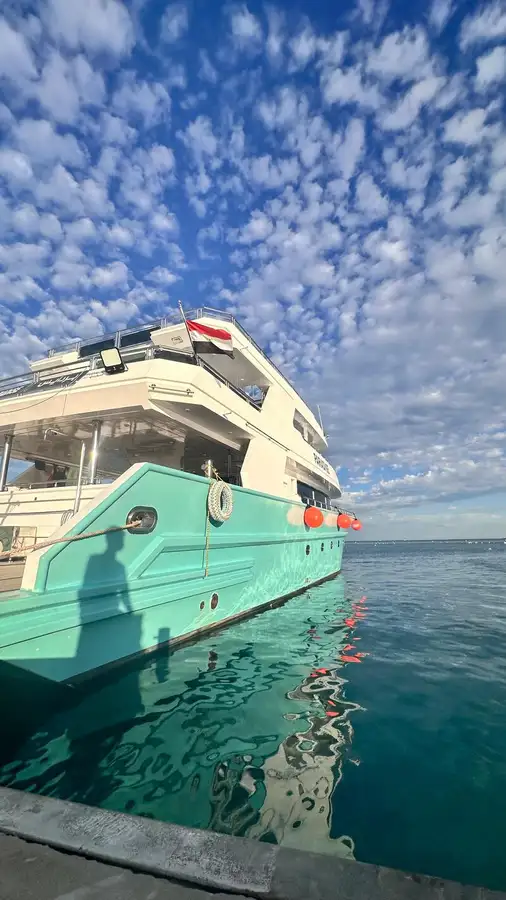 Cruise ship for sale