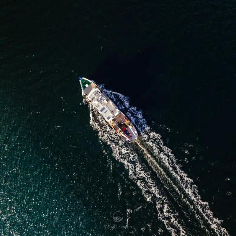 Survey vessel for sale