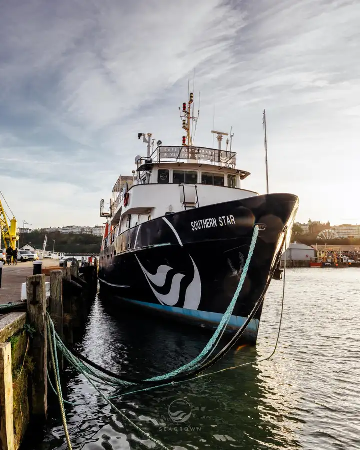 Survey vessel for sale