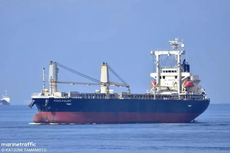 Bulk carrier for sale