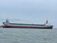 Container ship for sale