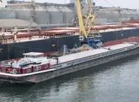 Bulk carrier for sale