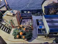 Scrap metal for sale