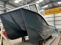 Catamaran for sale