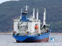 Reefer ship for sale
