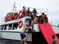 Dive support for sale