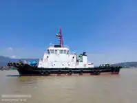 Towboat for sale