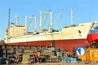 Reefer ship for sale