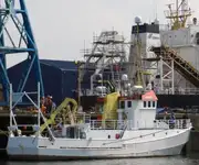 Container ship for sale