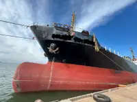 Bulk carrier for sale