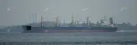 Bulk carrier for sale
