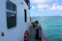 Multi-purpose for sale