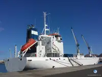 Reefer ship for sale